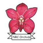 nrc orchid molbiogen