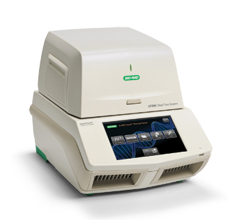 Biorad realtime PCR