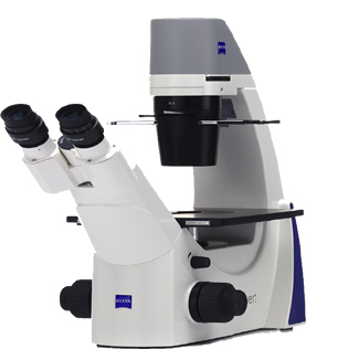 Primovert Microscope